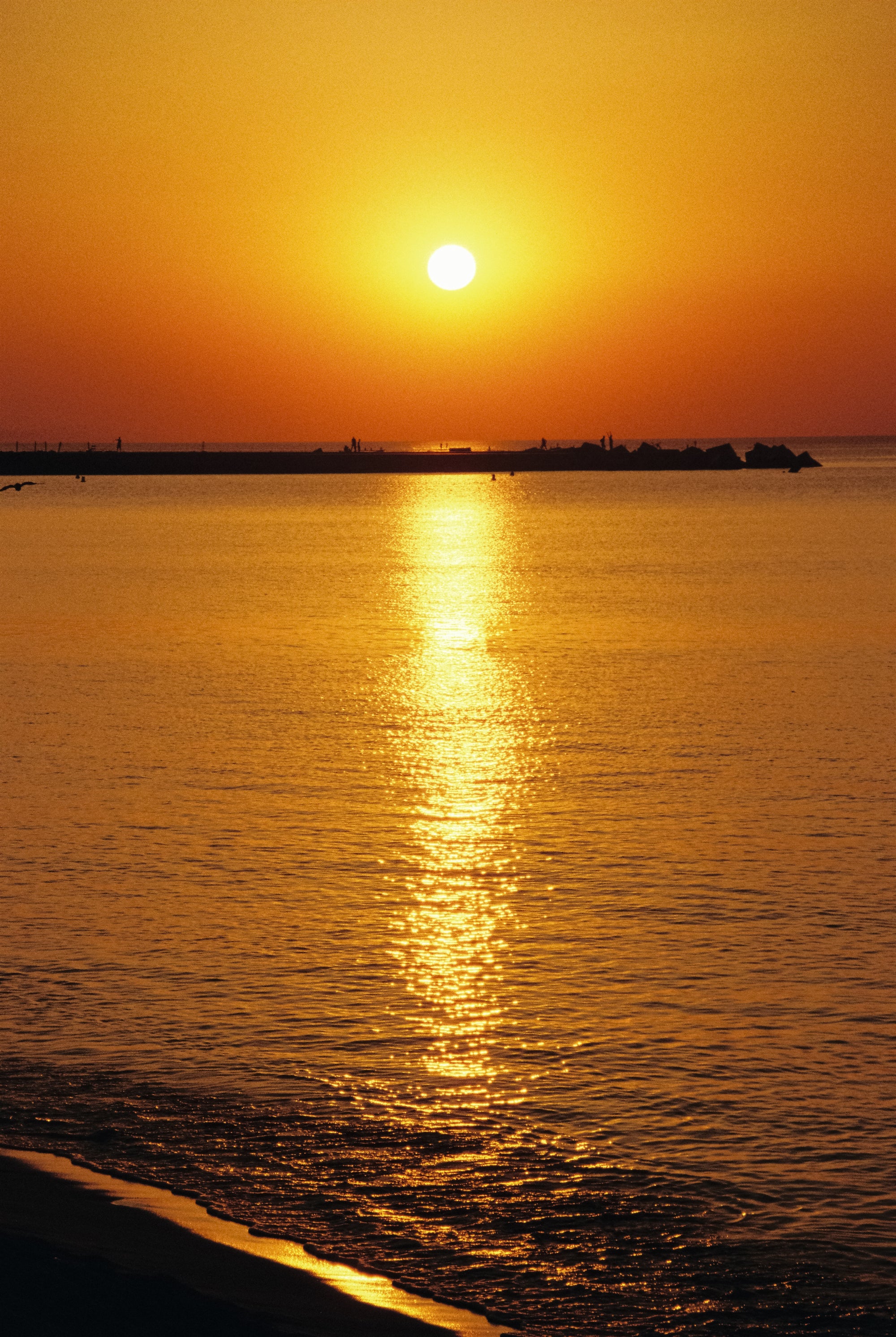 Sunset Pepita Ring-Gold