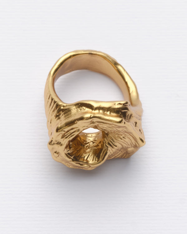 Echo - Anillo plateado