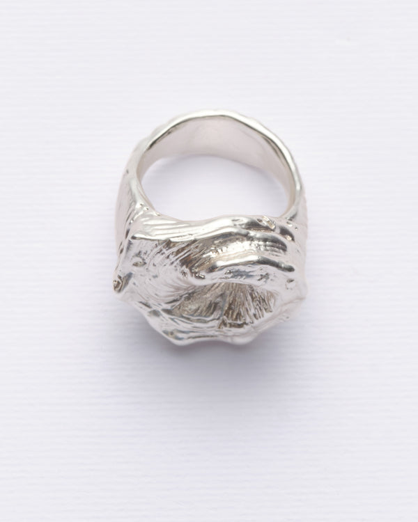 Echo - Anillo plateado