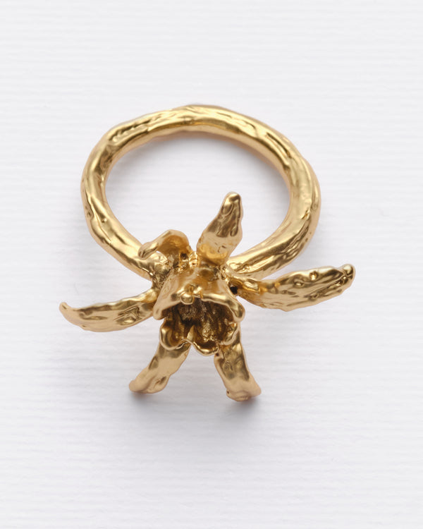 Iris Bloom - Anillo