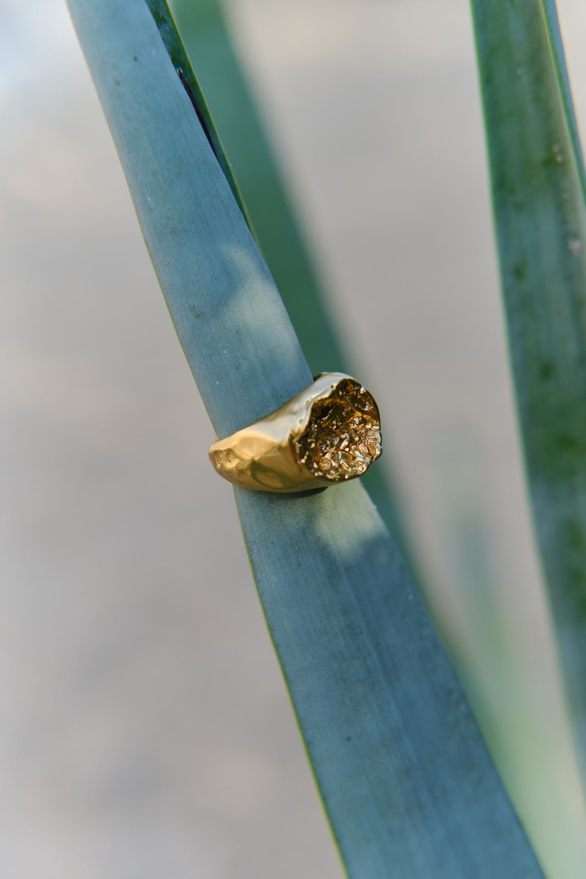 Rock Ring in gold: textured ring displayed on a green leaf.