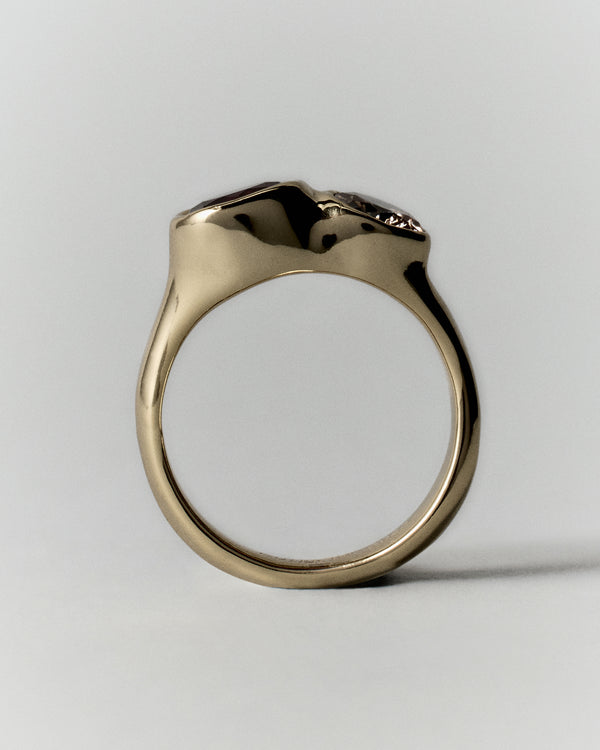 Tonka Ring in gold: side view showing the smooth ring band and raised setting.